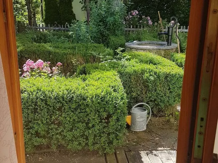 Martina S Place Bed & Breakfast