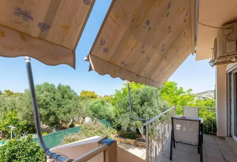 Apartments Tina Free Transfer From To The Airport