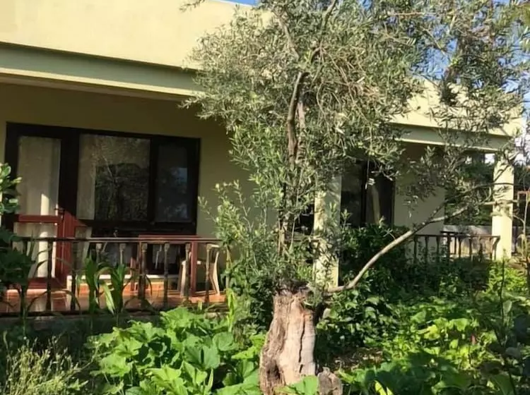 Assos Büyük Yıldızsaray Otel