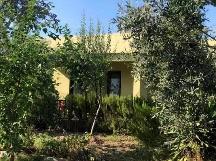 Assos Büyük Yıldızsaray Otel