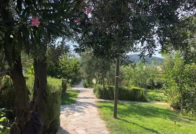 Assos Büyük Yıldızsaray Otel