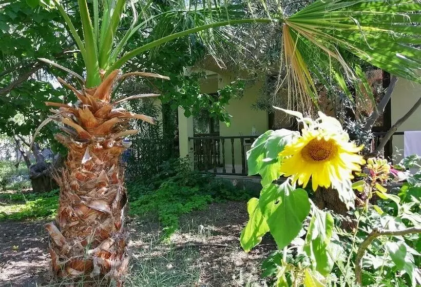 Assos Büyük Yıldızsaray Otel