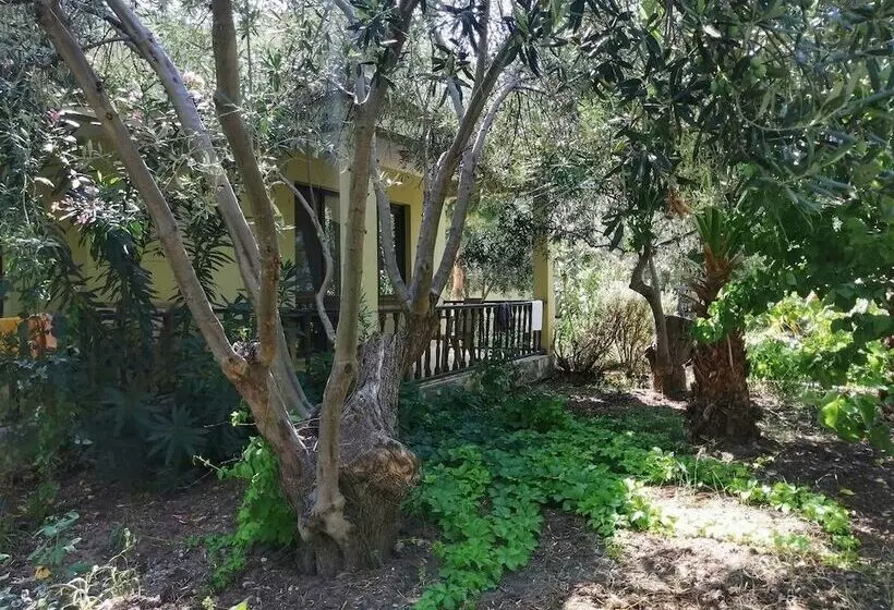 Assos Büyük Yıldızsaray Otel