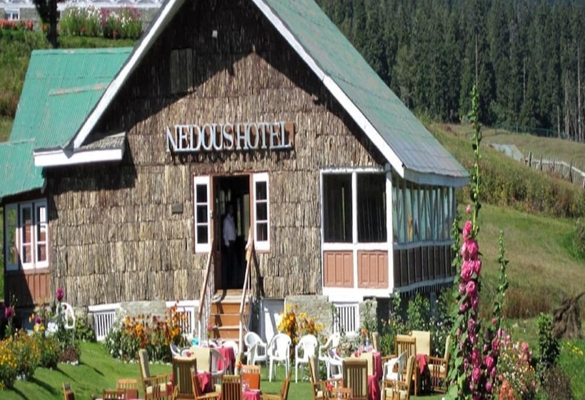 Hotel Nedous