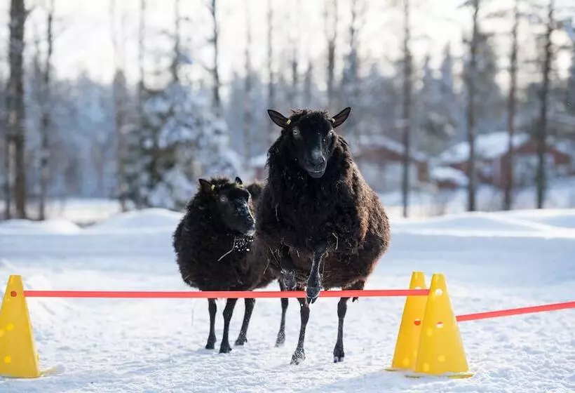 Maatilamatkailu Ilomäki