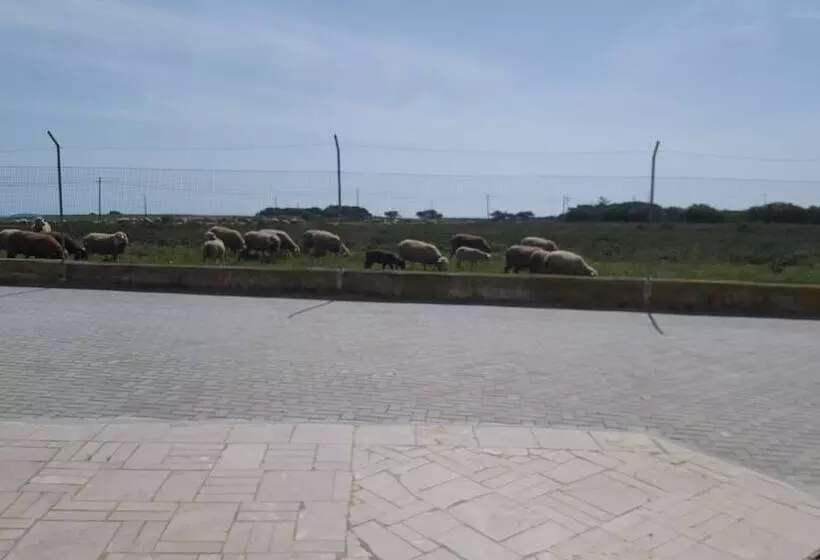 ペンション Abrigo Das Nortadas