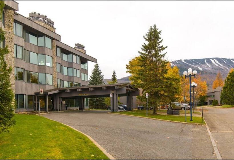 Chalet Et Condos Mont Sainte Anne