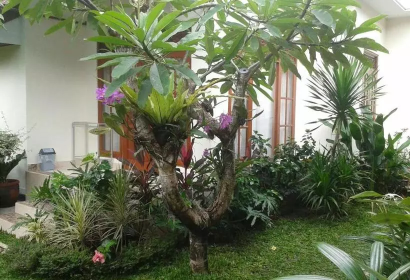 ペンション Jepun Bali Homestay Sanur