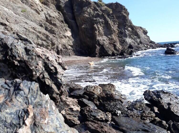 پانسیون Miramar Habitaciones