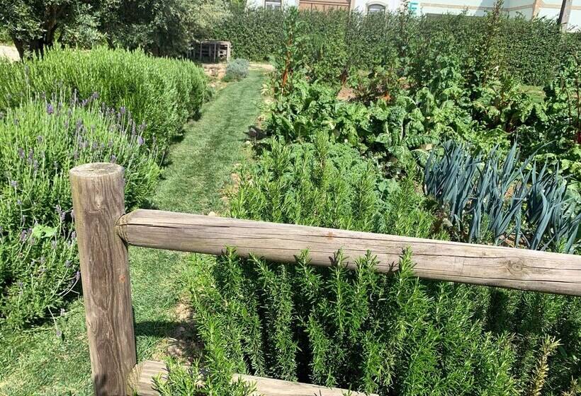 פנסיון Quinta Ribeira Do Labrador Lisbon West Wine Route