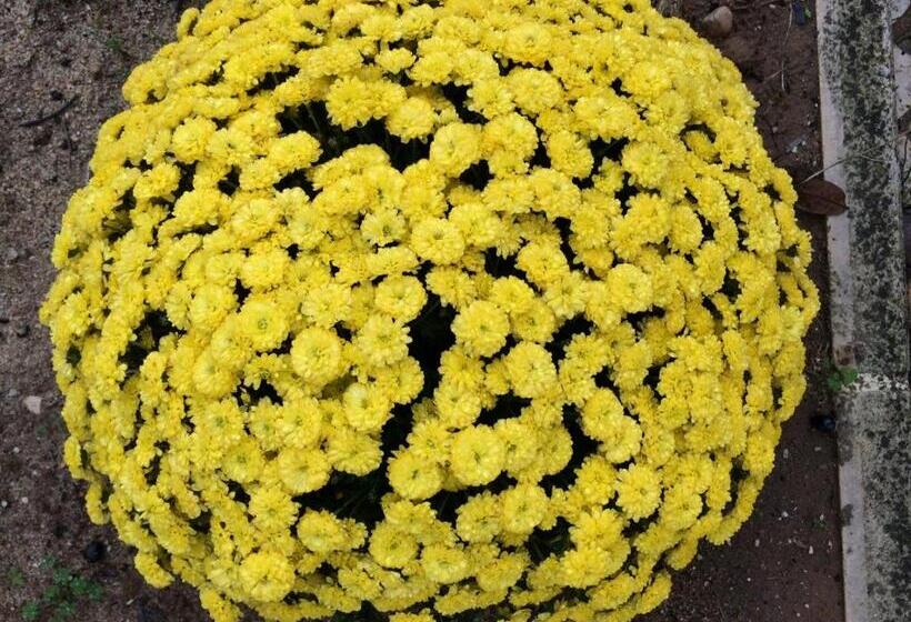 פנסיון Quinta Ribeira Do Labrador Lisbon West Wine Route