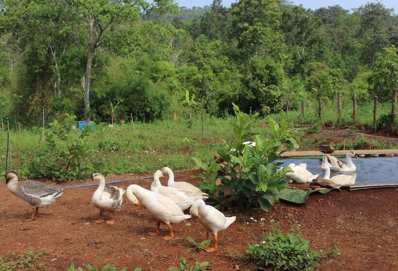 펜션 Terre De Lumiere