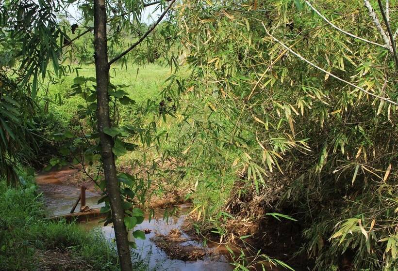 Пансион Terre De Lumiere