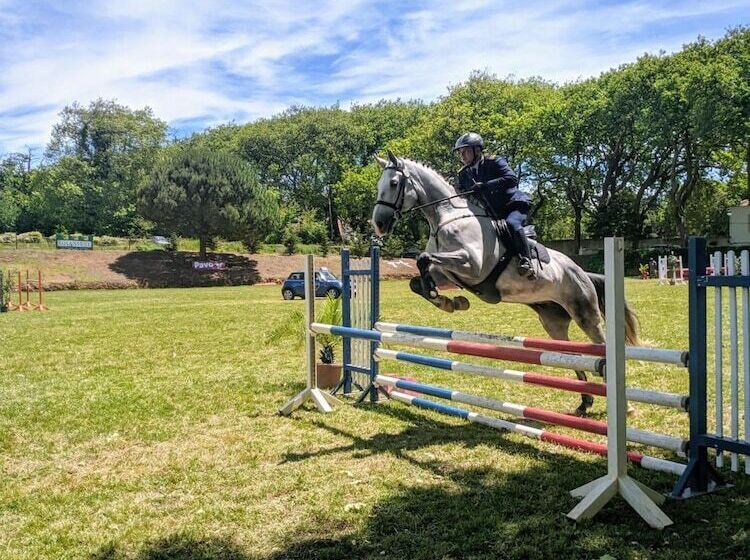 بنسيون Vila Mafra  Grill Terrace