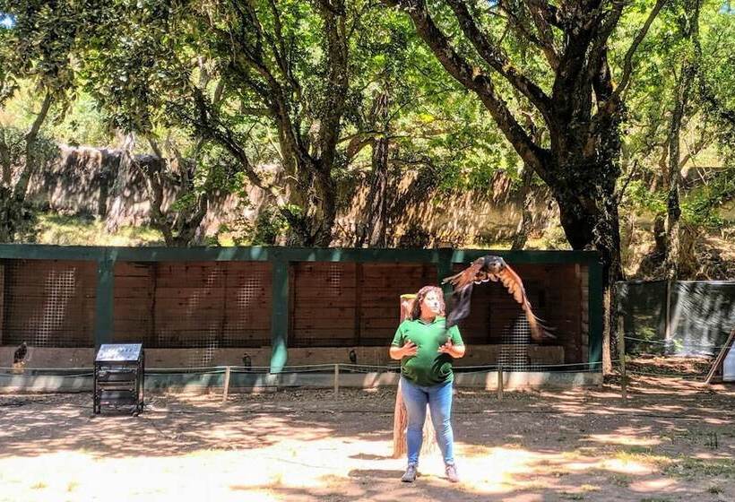 بنسيون Vila Mafra  Grill Terrace