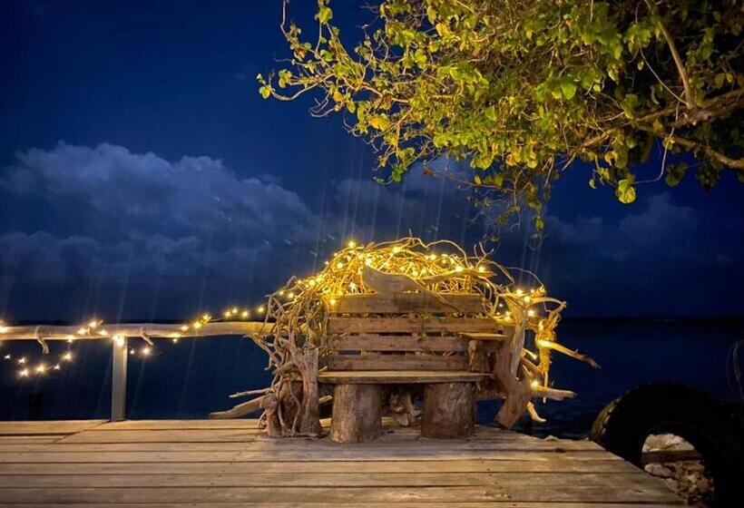 پانسیون String Wave Maldives