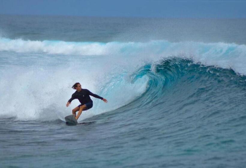 پانسیون String Wave Maldives