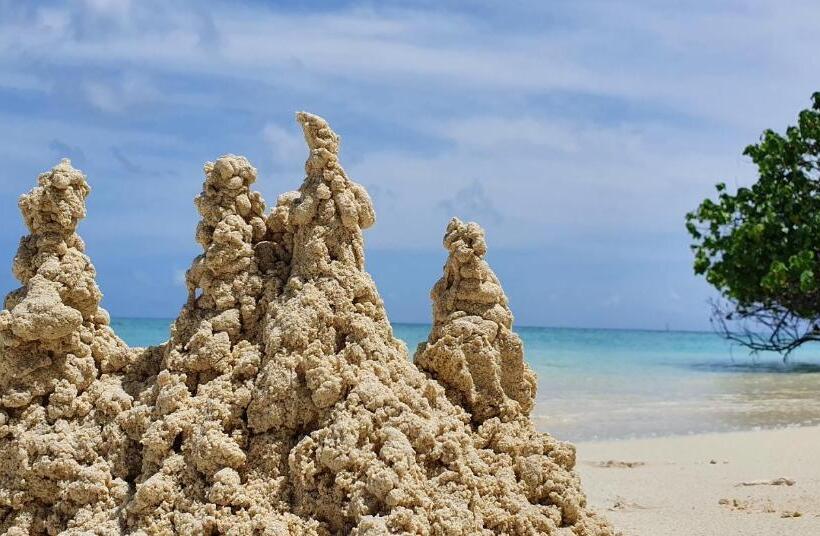 پانسیون String Wave Maldives