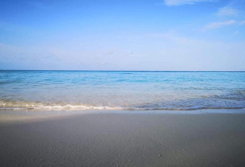 پانسیون String Wave Maldives