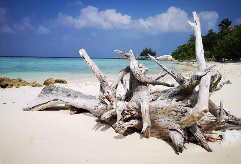 پانسیون String Wave Maldives