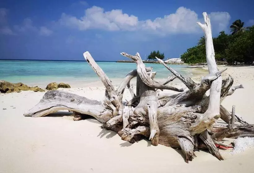 پانسیون String Wave Maldives