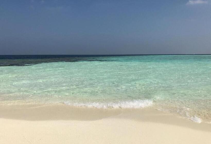 پانسیون String Wave Maldives