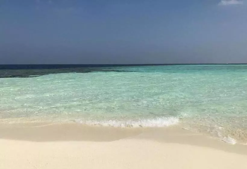 پانسیون String Wave Maldives