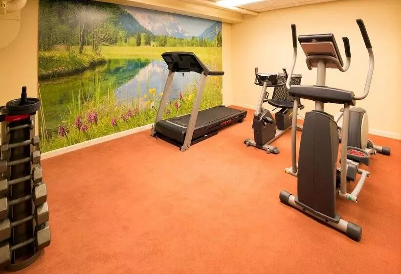 ホテル Geiser Grand