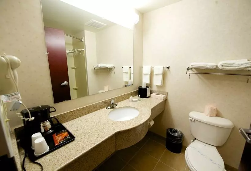 汽车旅馆 Executive Inn & Suites Upper Marlboro