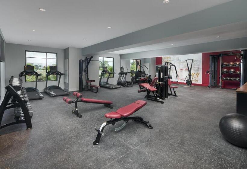 Szálloda Indigo Tallahassee   Collegetown, An Ihg