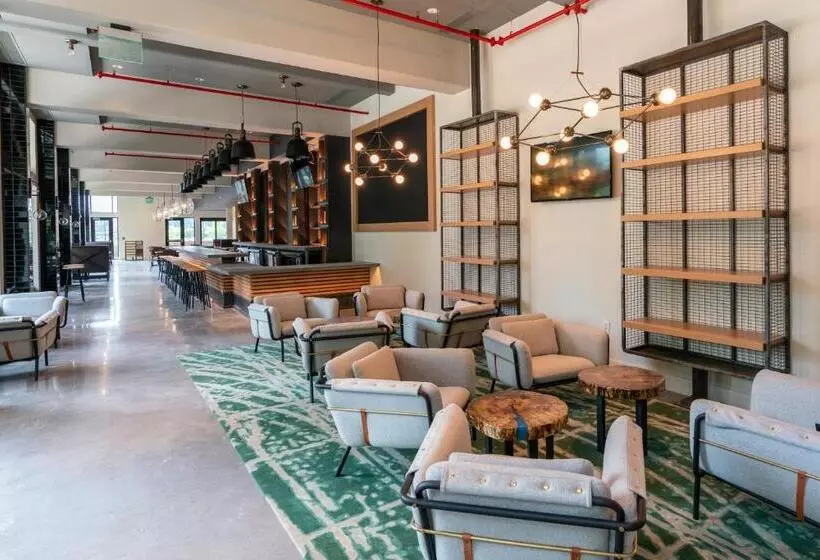 ホテル Indigo Tallahassee   Collegetown, An Ihg