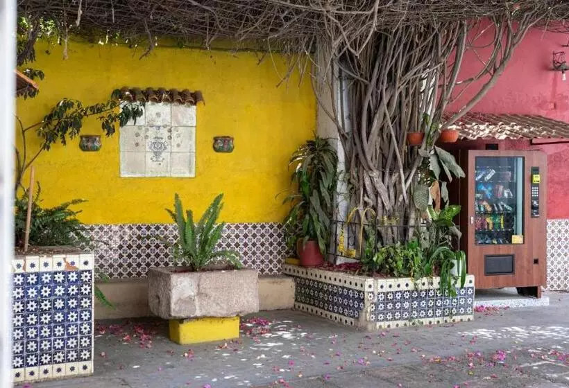 هتل Posada Bugambilias