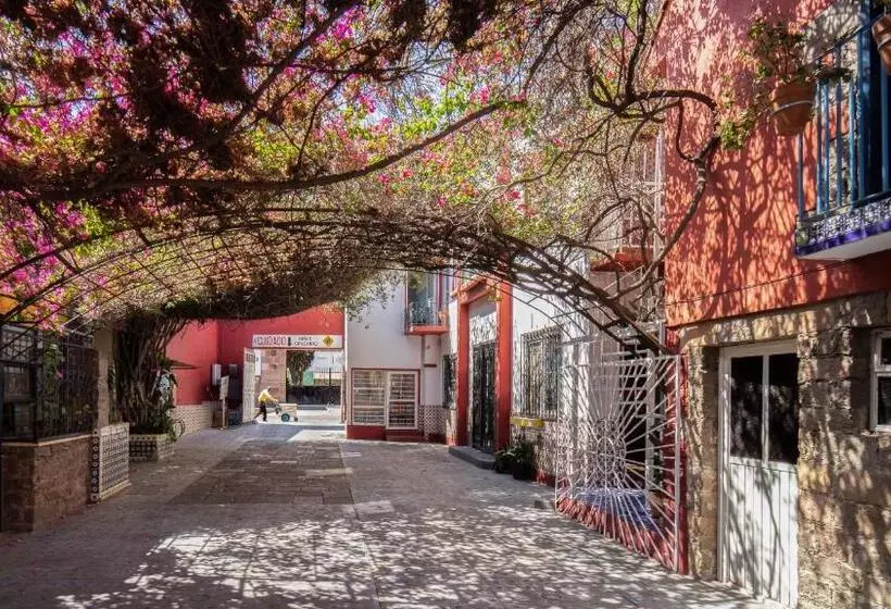 هتل Posada Bugambilias