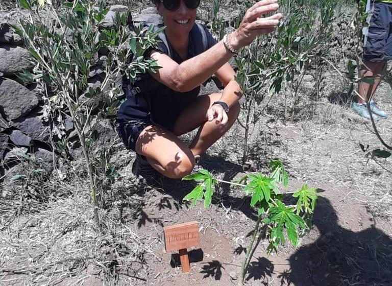 Bed and Breakfast Casa Pedrina