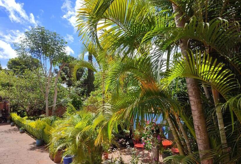 酒店 Ivato , Airport