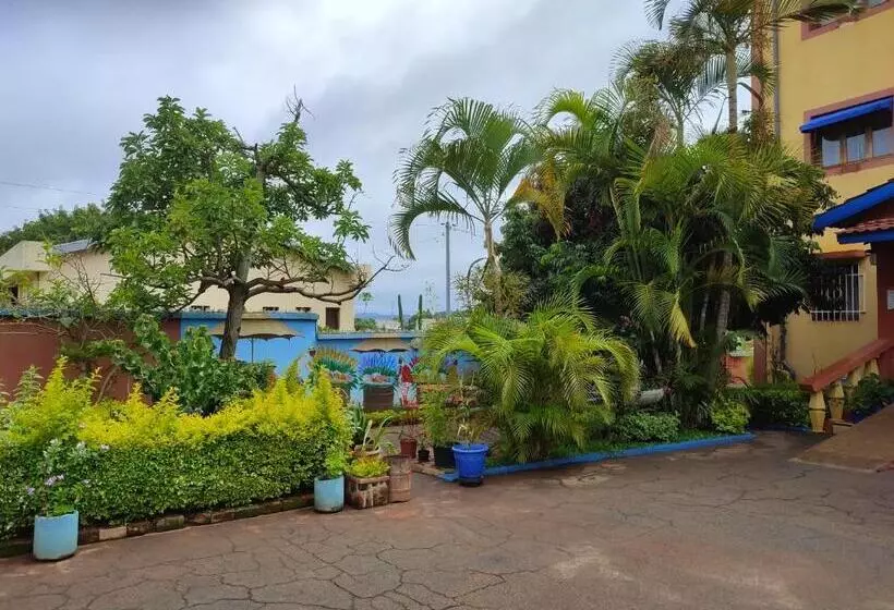 هتل Ivato , Airport