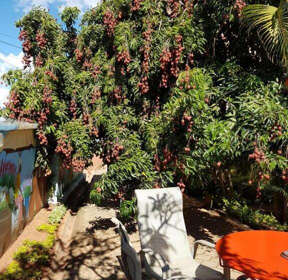 酒店 Ivato , Airport