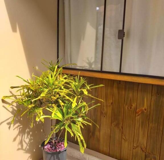 Пансион Pousada Ilha Sul