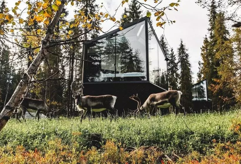 Lomakeskus Magical Pond Nature Igloos