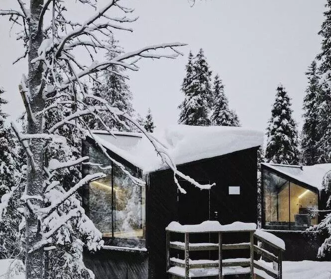Lomakeskus Magical Pond Nature Igloos