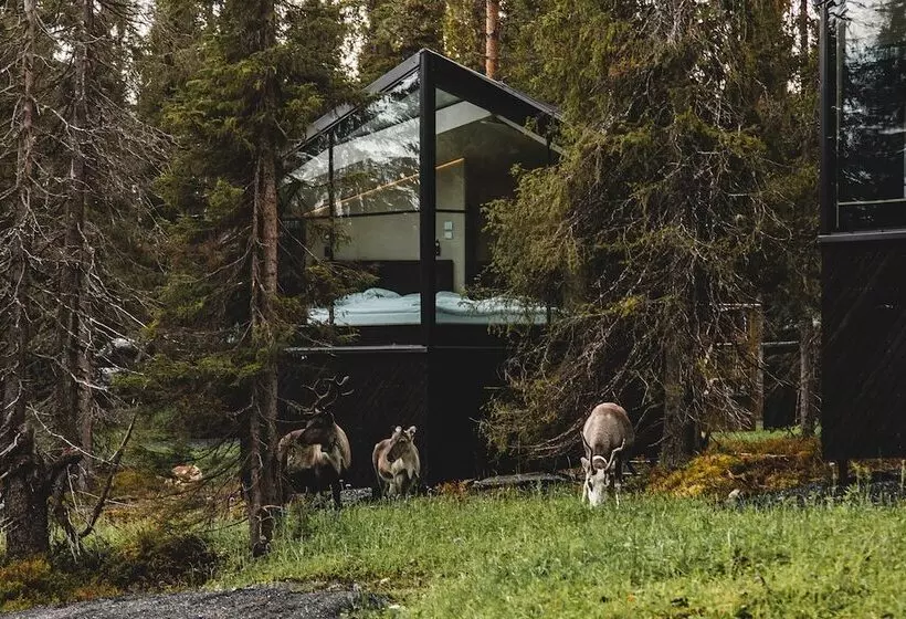 Lomakeskus Magical Pond Nature Igloos