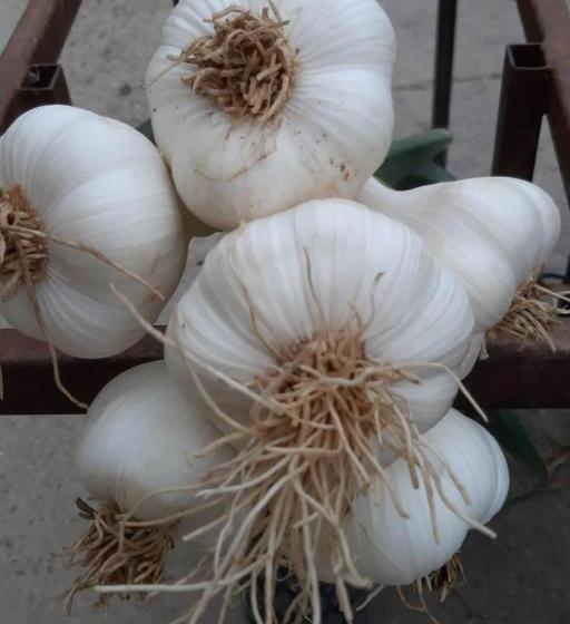 پانسیون Cascina Pontetto