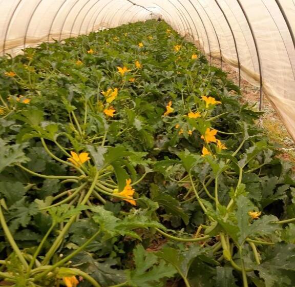 پانسیون Cascina Pontetto