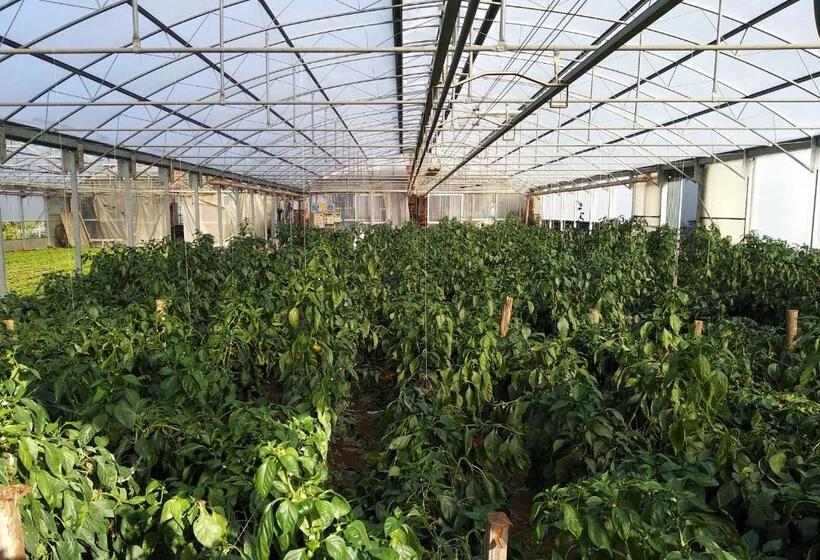 پانسیون Cascina Pontetto