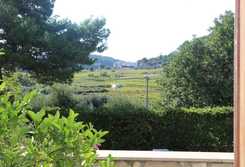 Beach Apartment Jakobus