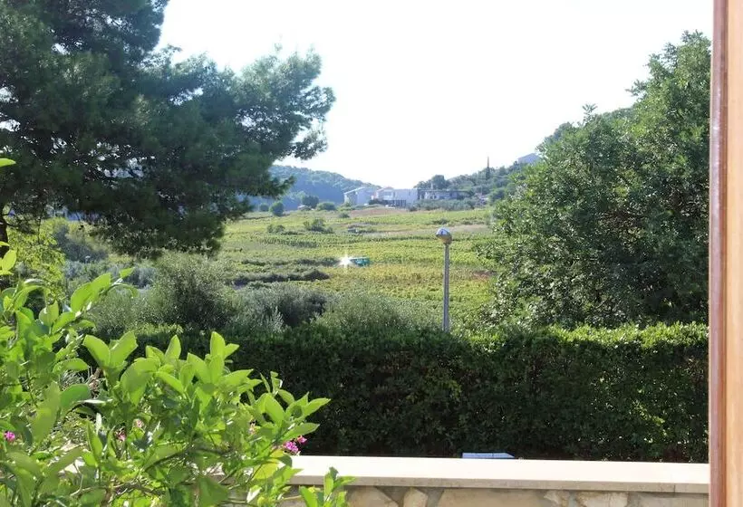 Beach Apartment Jakobus