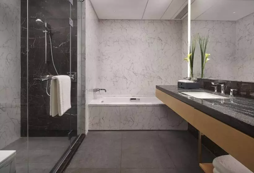 ホテル Hyatt Regency Hengqin