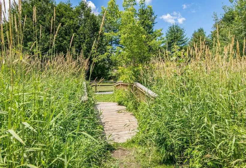 Курорт Grey Fox Inn