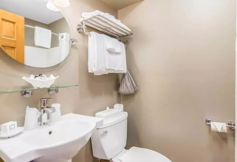 Курорт Grey Fox Inn