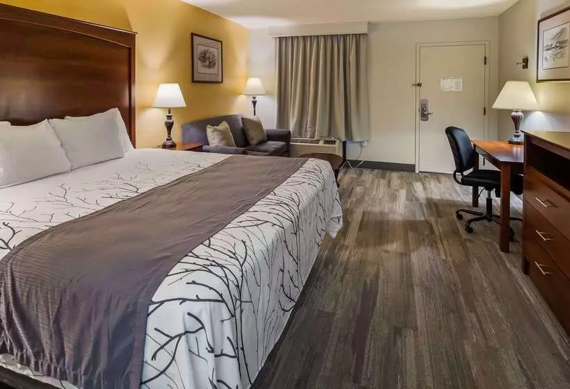 Отель Best Western Home Place Inn